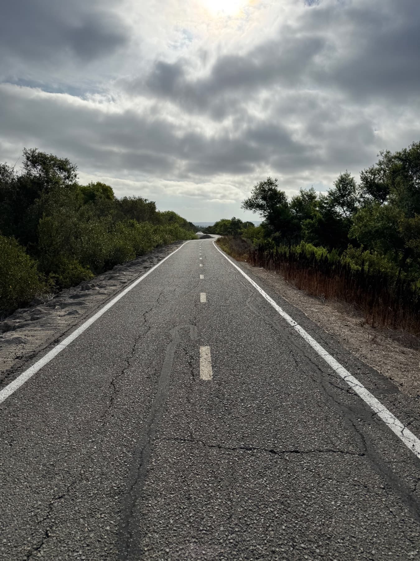 A quiet road running through coastal scrub